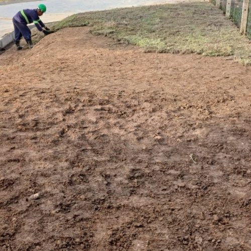 Cópia de Cópia de WhatsApp Image 2025-07-29 at 19.10.56