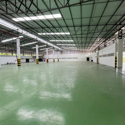 WhatsApp Image 2025-07-29 at 18.33.03